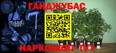 гашиш Новозыбков