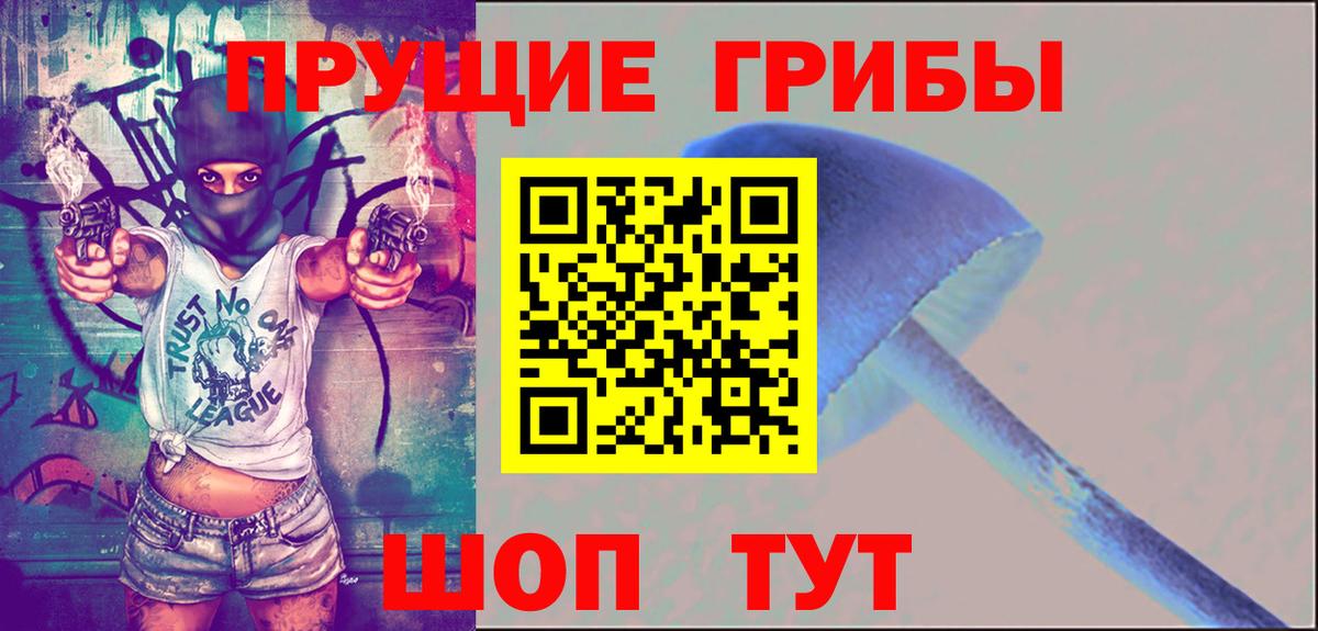 Галлюциногенные грибы мицелий Строитель