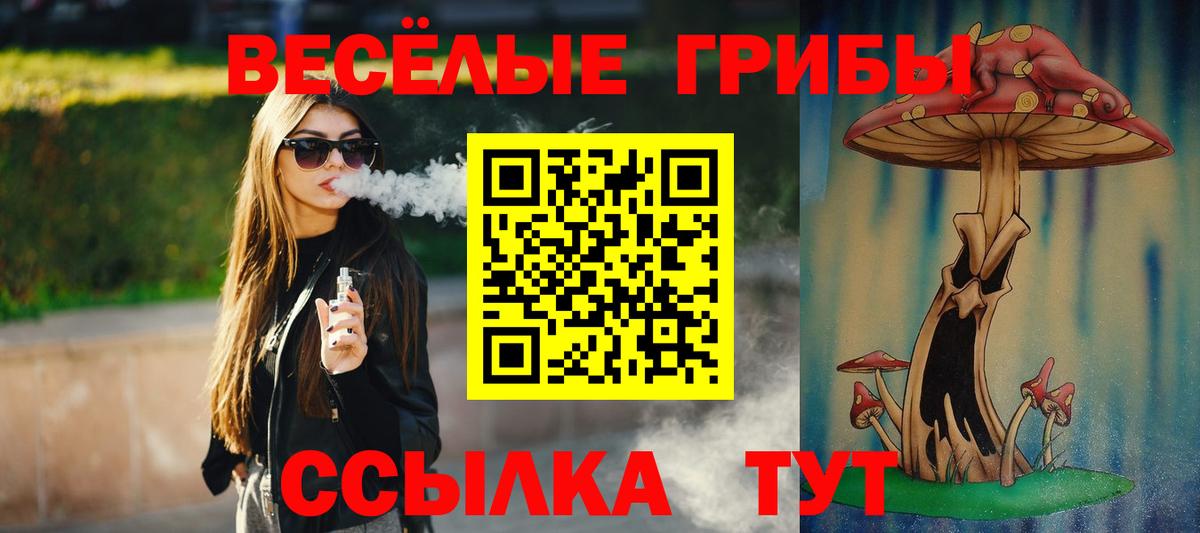 Строитель  Псилоцибиновые грибы GOLDEN TEACHER  даркнет сайт  Вход с VPN  Галлюциногенные грибы GOLDEN TEACHER 